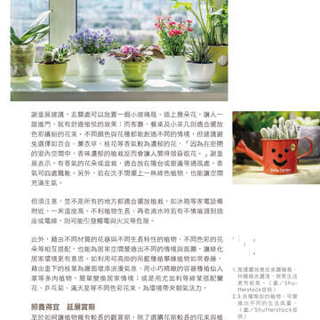 台北畫刊602期(107年3月)