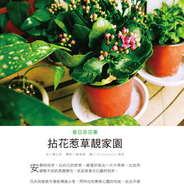 台北畫刊602期(107年3月)