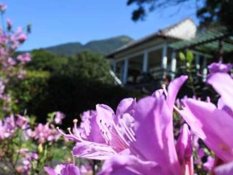 第二停車場杜鵑茶花園