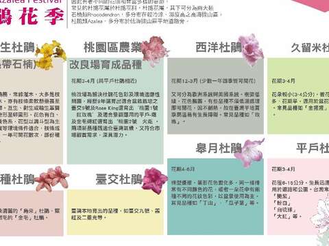 三月春暖杜鵑開滿城 處處叮嚀記得說愛