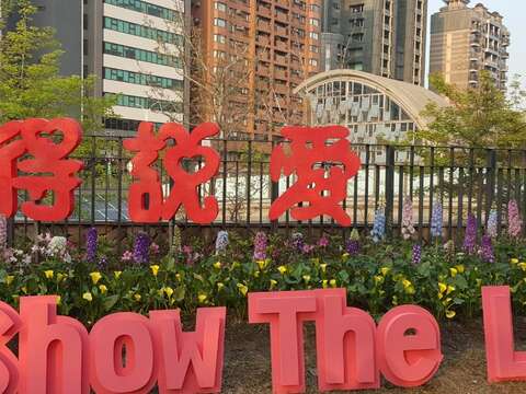三月春暖杜鵑開滿城 處處叮嚀記得說愛