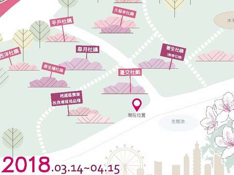 三月春暖杜鵑開滿城 處處叮嚀記得說愛