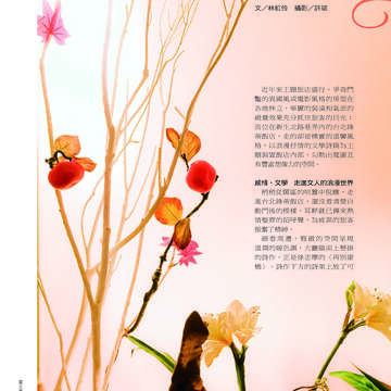 臺北畫刊507期(99年4月)