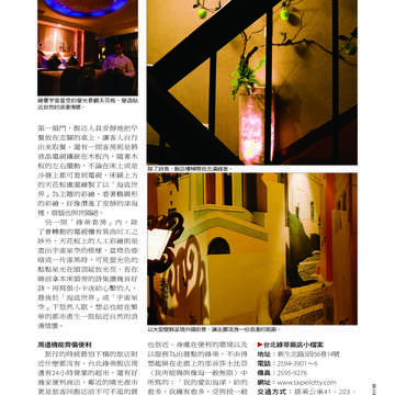 臺北畫刊507期(99年4月)