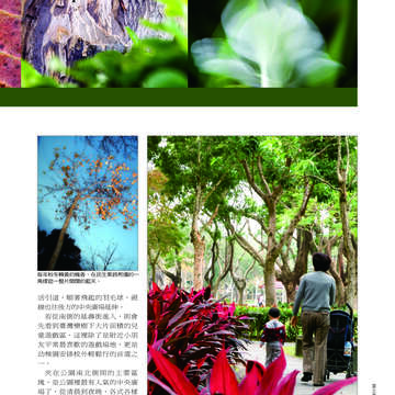 臺北畫刊507期(99年4月)