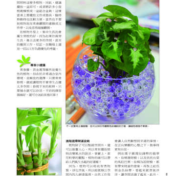 臺北畫刊507期(99年4月)