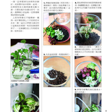 臺北畫刊507期(99年4月)
