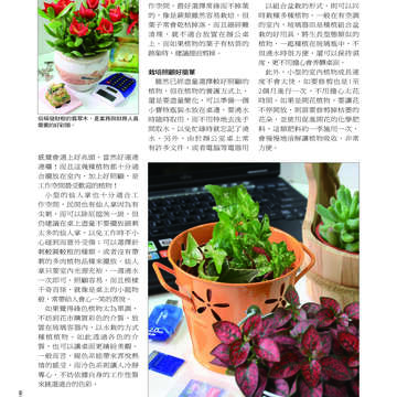 臺北畫刊507期(99年4月)