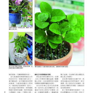 臺北畫刊507期(99年4月)
