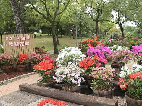 2018台北杜鵑花季 打卡地點特搜