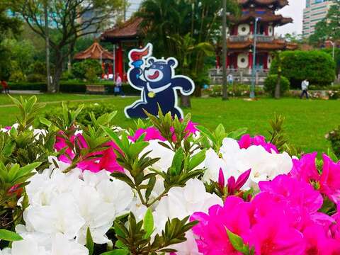 2018台北杜鵑花季 打卡地點特搜