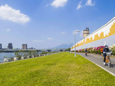 北市河濱「粉」浪漫 杜鵑花熱鬧綻放