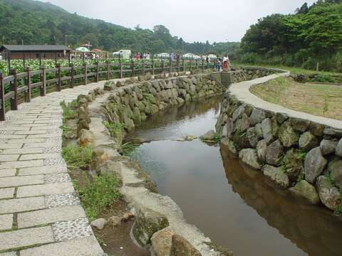 一日竹子湖 大地處推薦遊溪賞海芋