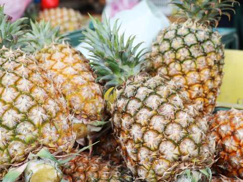 April Highlights at Expo Farmers Market
