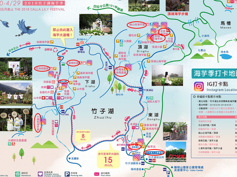2018竹子湖海芋季