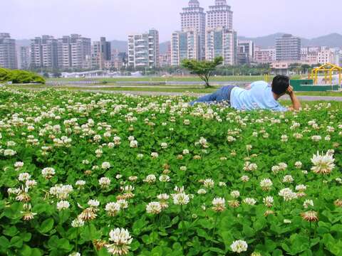 北市河濱「雪」景超美 隨便拍都像MV