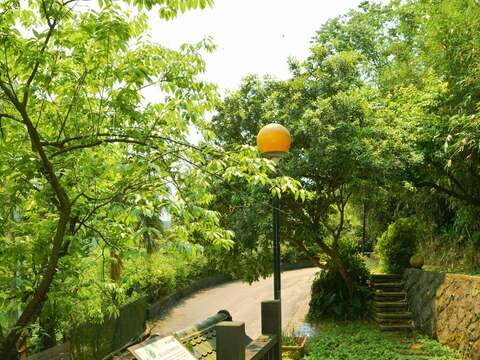 森林療癒正夯　士林菁山賞槭紅紓壓