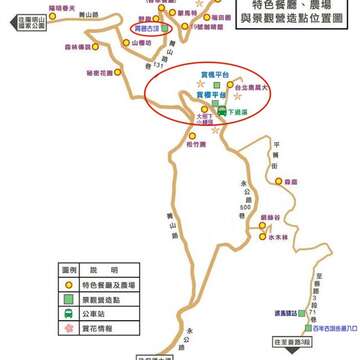 森林療癒正夯　士林菁山賞槭紅紓壓