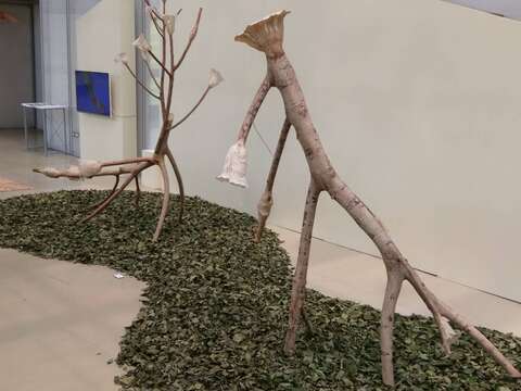 五感創作認識地球 北市典藏植物園推環教藝術展