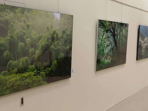 五感創作認識地球 北市典藏植物園推環教藝術展