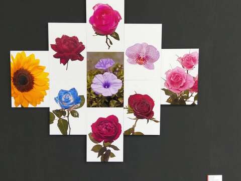 五感創作認識地球 北市典藏植物園推環教藝術展