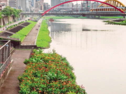恢復昔日風采的台北河岸。(許斌攝)