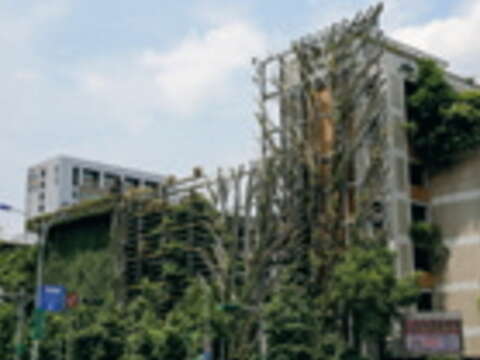 除了工科出名,台北科大的綠色地景也是獨樹一幟。
