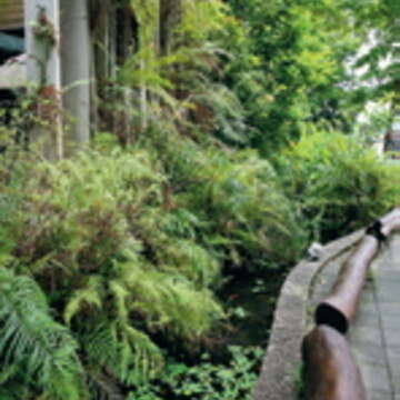 台北科大藉由「生態草溝」概念,打造出城市綠洲。(楊智仁攝)