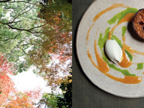 窯烤柿子這道菜，在哥本哈根我使用梨子，但在京都的秋天則使用當季的柿子，連顏色都不自覺地轉為京都秋日的色彩。（Yuka Yanazume授權）