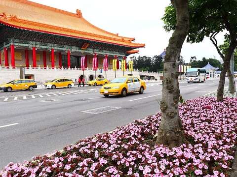 愛國東路婚紗街旁綿延90公尺的粉色花毯