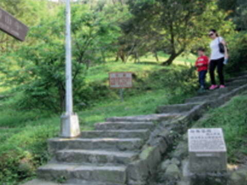 走一趟指南茶路親山步道,可消耗約二,二三○大卡熱量。(巧巧攝)