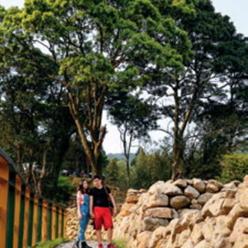 「芋戀道」景觀步道兼顧水土保持、休憩、環境生態與花卉產業發展。