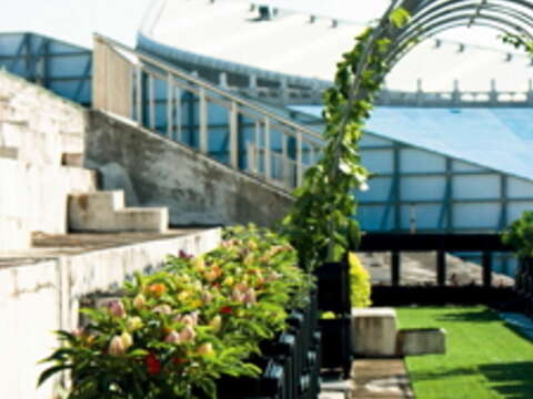 花博天空農場蔬菜箱植示範區 （圖／台北市產業發展局提供）