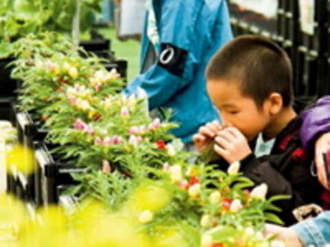 花博天空農場蔬菜箱植示範區 （圖／台北市產業發展局提供）