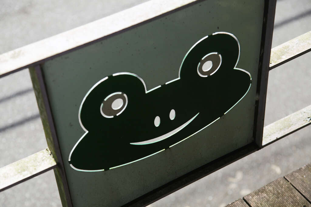 內雙溪自然公園-青蛙裝飾