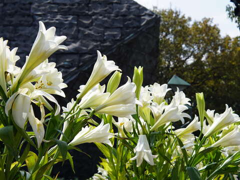 228 Peace Park