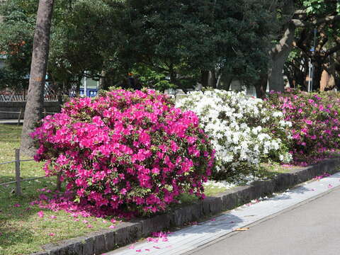 228 Peace Park