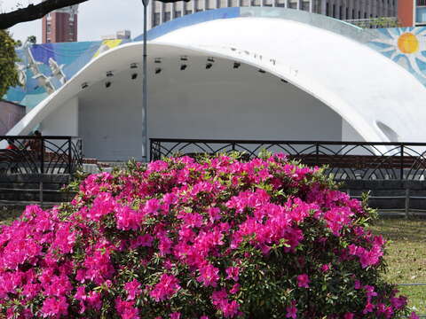 228 Peace Park