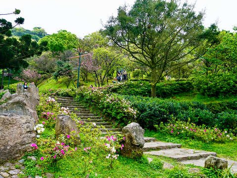 陽明公園