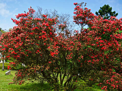 陽明公園