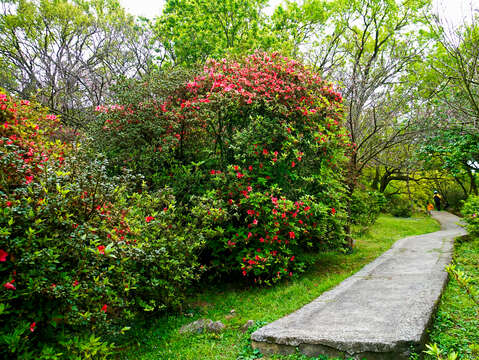 陽明公園