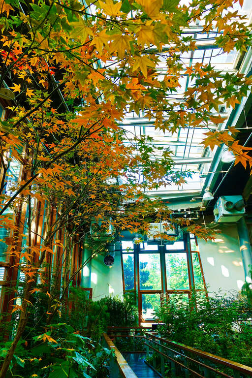 Taipei Collectible Botanical Garden