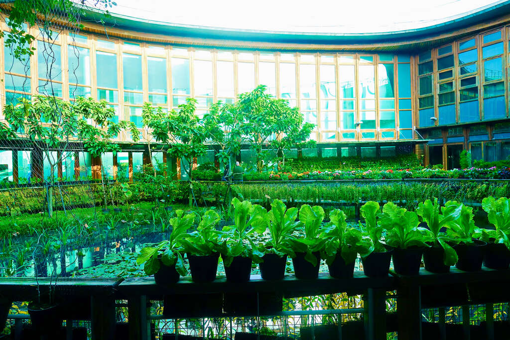 타이베이 디엔창 식물원