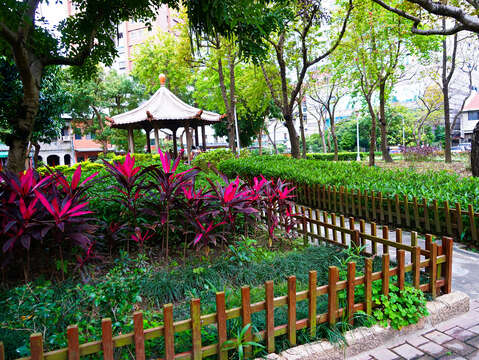 大稻埕公園-細心照料的景觀植栽_高讚賢攝