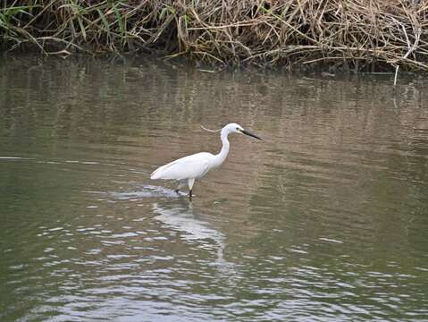 Guandu Nature Park