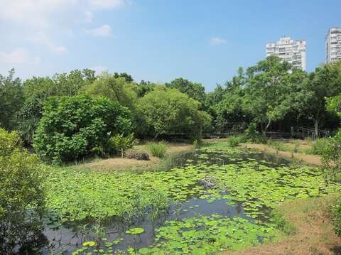Guandu Nature Park