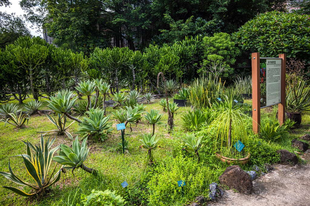 El Jardín Botánico de Taipéi