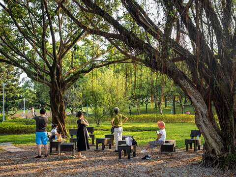 大樹下放置木椅供遊客享受悠閒時光