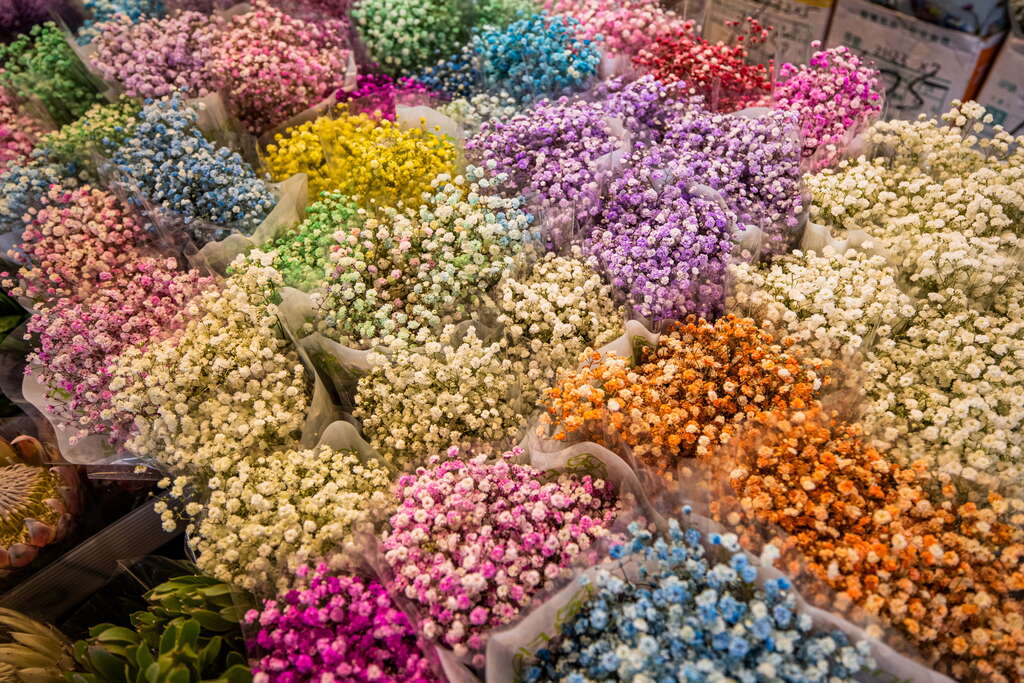 Chợ hoa Đài Bắc