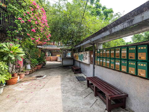 Treasure Hill